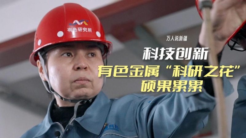 数据仓库分层设计：构建高效数据处理的基石**